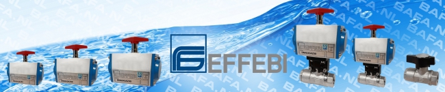 Effebi banner